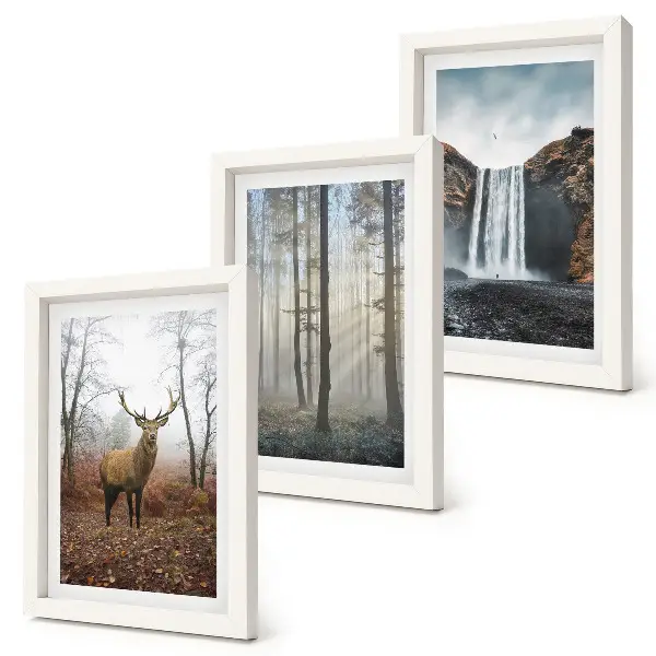 Bilderwand mit Waldlandschaften, wilder Natur und Hirschen