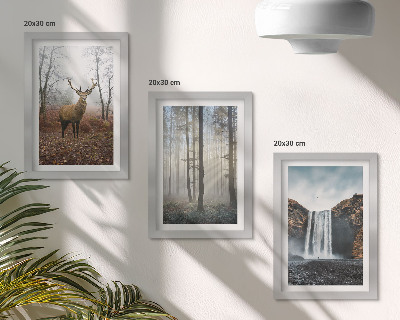 Bilderwand Waldlandschaften, wilde Natur, Hirsche