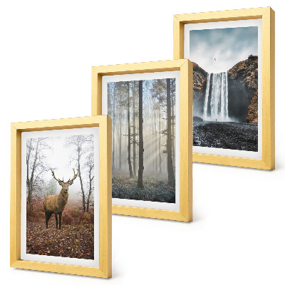 Bilderwand Waldlandschaften, wilde Natur, Hirsche
