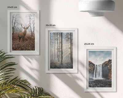 Bilderwand Waldlandschaften, wilde Natur, Hirsche