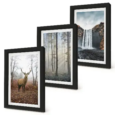 Bilderwand mit Waldlandschaften, wilder Natur und Hirschen