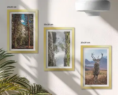 Fotowand mit einer Waldstraße, Bergen und Hirschen in der Natur