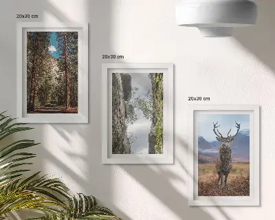 Fotowand mit einer Waldstraße, Bergen und Hirschen in der Natur