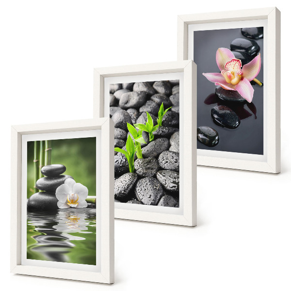 Bilderwand Eine friedvolle Zen-Komposition aus Steinen und Blumen auf dem Wasser
