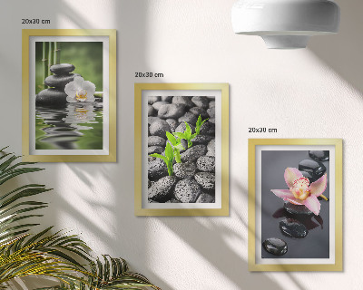 Bilderwand Eine friedvolle Zen-Komposition aus Steinen und Blumen auf dem Wasser