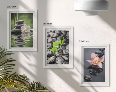 Bilderwand Eine friedvolle Zen-Komposition aus Steinen und Blumen auf dem Wasser