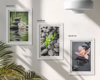 Bilderwand mit einer friedvollen Zen-Komposition aus Steinen und Blumen auf dem Wasser