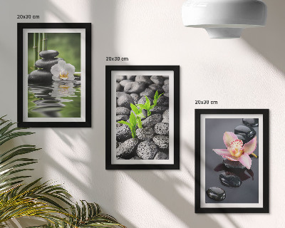 Bilderwand Eine friedvolle Zen-Komposition aus Steinen und Blumen auf dem Wasser