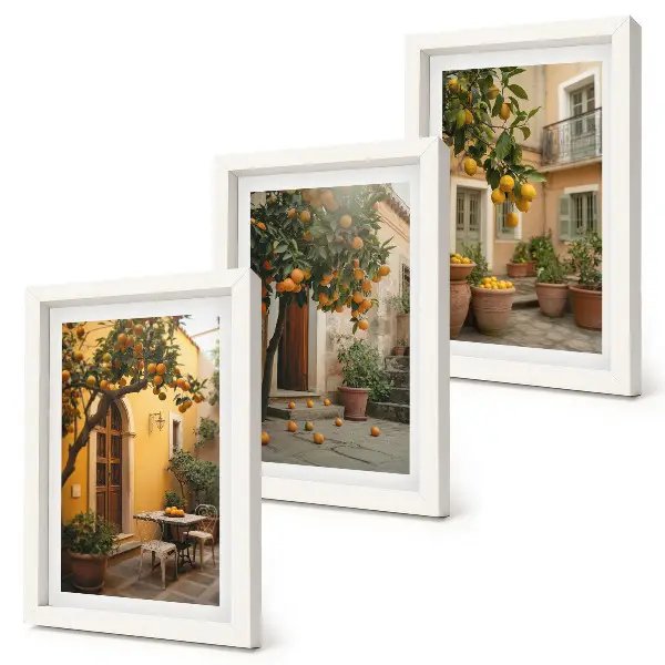 Bilderwand Garten mit Zitrusbäumen in sonniger Lage