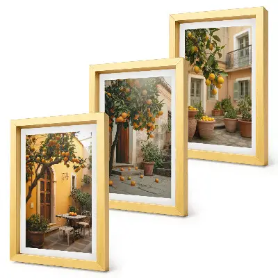 Bilderwand Garten mit Zitrusbäumen in sonniger Lage
