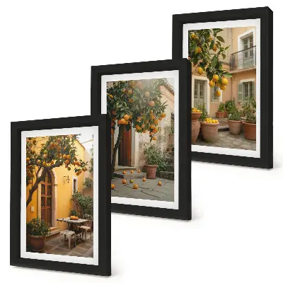 Bilderwand Garten mit Zitrusbäumen in sonniger Lage
