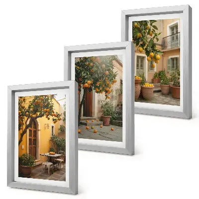 Bilderwand Garten mit Zitrusbäumen in sonniger Lage