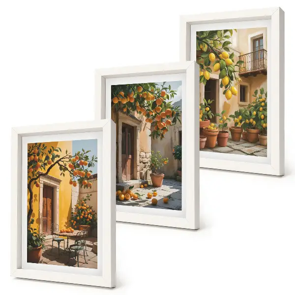 Bilderwand mit Zitrusfrüchten in einem sonnigen Innenhof mit Pflanzen