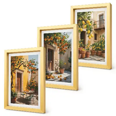Bilderwand mit Zitrusfrüchten in einem sonnigen Innenhof mit Pflanzen