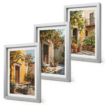 Bilderwand mit Zitrusfrüchten in einem sonnigen Innenhof mit Pflanzen