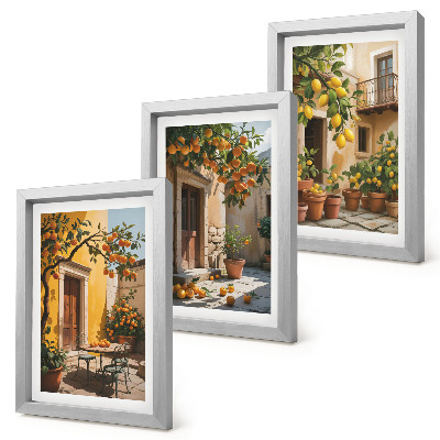 Bilderwand Zitrusfrüchte in einem sonnigen Innenhof mit Pflanzen