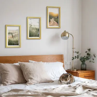 Bilderwand mit Motiv Landschaft, Wiese, Straße und Sonnenuntergang