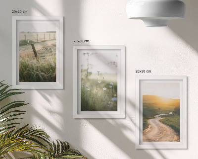 Bilderwand Landschaft mit Wiese, Straße und Sonnenuntergang