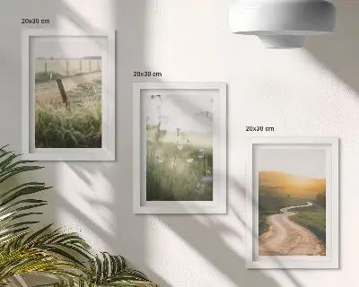 Bilderwand mit Motiv Landschaft, Wiese, Straße und Sonnenuntergang