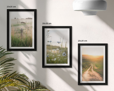 Bilderset mit rahmen Naturlandschaften mit Feldern und einem Weg in der Sonne