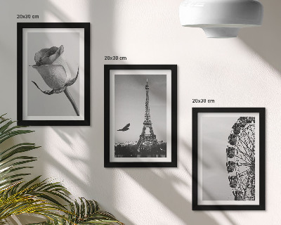 Bilderset mit rahmen Rosa Eiffelturm und Riesenrad in Monochrom