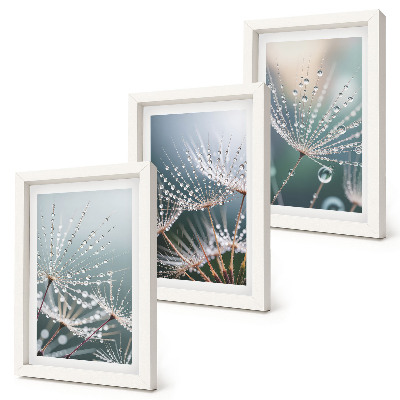 Bilderwand Wassertropfen auf den zarten Trieben des Löwenzahns