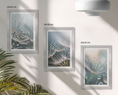 Bilderwand Wassertropfen auf den zarten Trieben des Löwenzahns