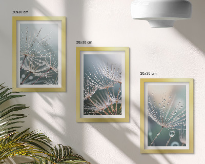 Bilderwand Wassertropfen auf den zarten Trieben des Löwenzahns