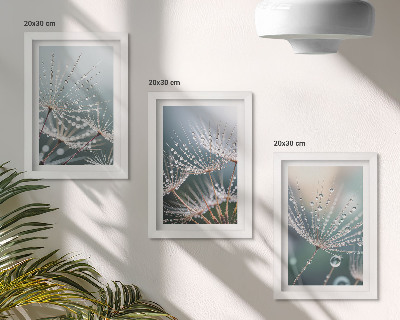 Bilderwand Wassertropfen auf den zarten Trieben des Löwenzahns