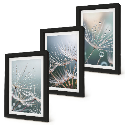 Bilderwand Wassertropfen auf den zarten Trieben des Löwenzahns