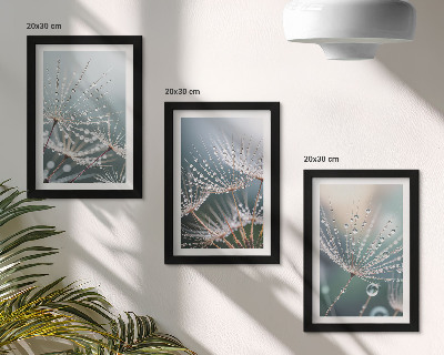 Bilderwand Wassertropfen auf den zarten Trieben des Löwenzahns