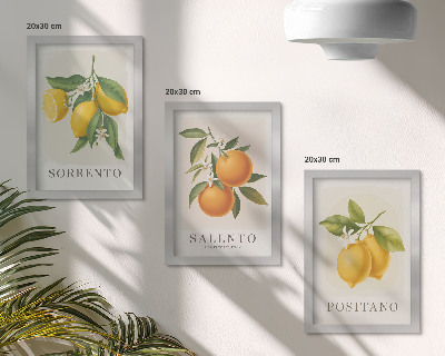 Bilderset mit rahmen Zitronen und Orangen von der Amalfiküste in Italien