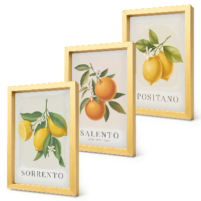 Bilderset mit rahmen Zitronen und Orangen von der Amalfiküste in Italien