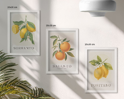 Bilderset mit rahmen Zitronen und Orangen von der Amalfiküste in Italien