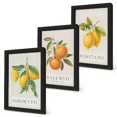 Bilderset mit rahmen Zitronen und Orangen von der Amalfiküste in Italien