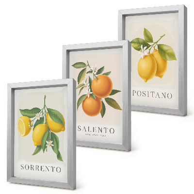 Bilderset mit rahmen Zitronen und Orangen von der Amalfiküste in Italien