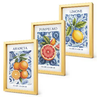 Bilderwand mit Vintage-Illustrationen von Zitrusfrüchten
