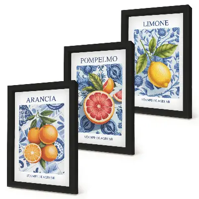 Bilderwand mit Vintage-Illustrationen von Zitrusfrüchten