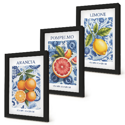 Bilderwand Vintage-Illustrationen von Zitrusfrüchten