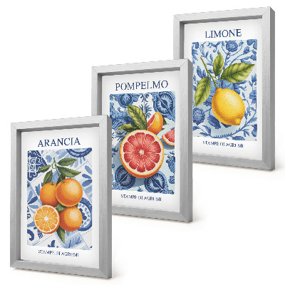 Bilderwand Vintage-Illustrationen von Zitrusfrüchten