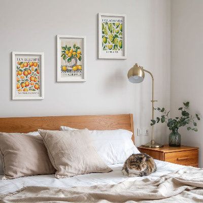 Bilderwand Zitrusfrüchte in verschiedenen farbenfrohen und frischen Varianten