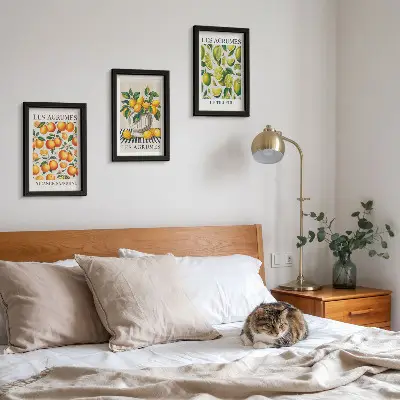Bilderwand mit frischen Zitrusfrüchten in bunten Farben