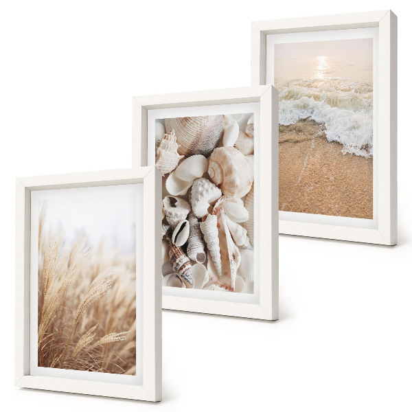 Bilderwand Strandmotive mit Muscheln und Meereswellen