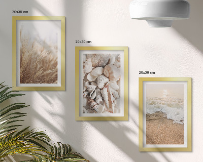 Bilderwand Strandmotive mit Muscheln und Meereswellen
