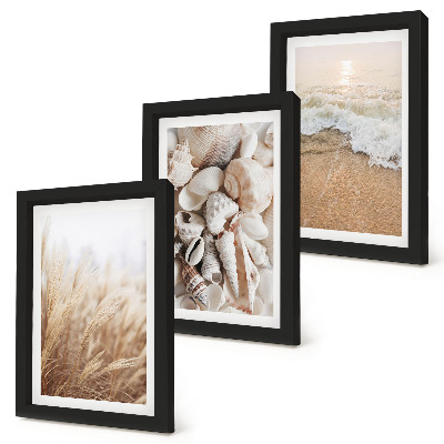 Bilderwand Strandmotive mit Muscheln und Meereswellen