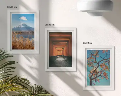 Bilderwand mit japanischen Landschaften, Natur und Architektur Asiens