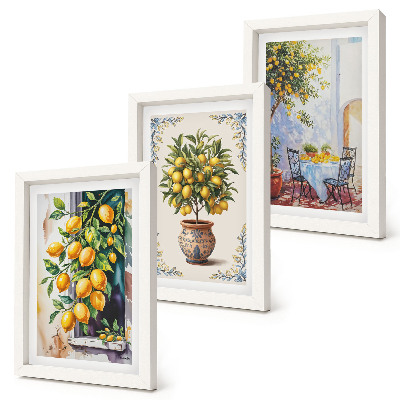 Bilderwand Zitronenbäume und Früchte in sonniger Lage