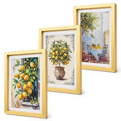 Bilderwand mit Zitronenbäumen und Früchten in sonniger Lage