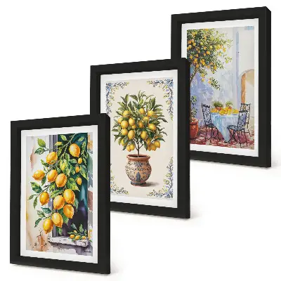 Bilderwand mit Zitronenbäumen und Früchten in sonniger Lage