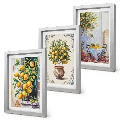 Bilderwand mit Zitronenbäumen und Früchten in sonniger Lage